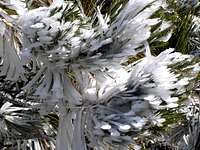 ice crystals detail (Dec 18...