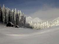 On the Pusti rovt meadow....