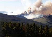 The July 2002 forest fire in...