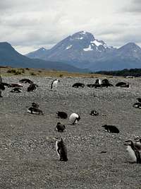 Tierra del Fuego Province