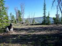 Goat Mountain Campsite