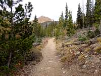 Herman Lake Trail
