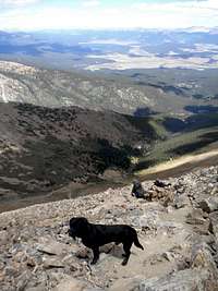 Dog's view from Elbert trail