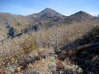 West Ridge Santa Rosa Peak - Brushy Terrain