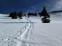 My sled trail