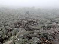 Foggy Trail, Mt Washington