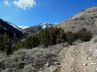 ATV trail in Miner's Canyon