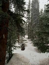 Snowfall in Horn Fork Basin