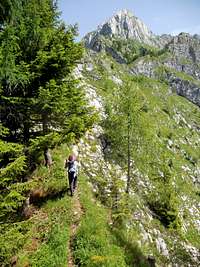 Vrh Krnice path (from Kluže)