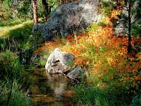 Galena Creek Fall Colors