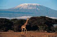 Kilimanjaro trek photos