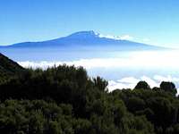 Kilimanjaro from Saddle Hut