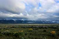 Tetons in clouds and buffalo