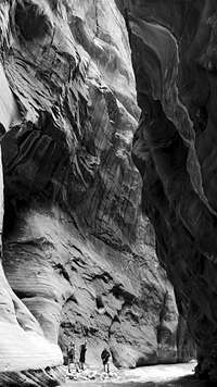 The Zion Narrows 2