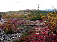 Pioui trail in autumn