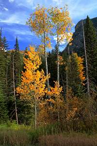 Cascades Fall Color