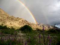 Rainbow, Lupines and...