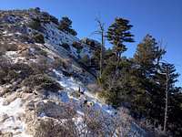 Guadalupe peak trail