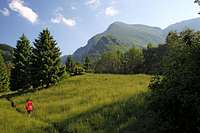 Planica ridge