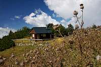 Hrasenska planina