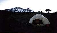 Shira camp (3900m) with...