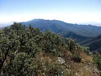 Huachuca Peak