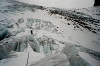 Coe Glacier Rambling