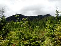 Picture of the Meadow Mountain