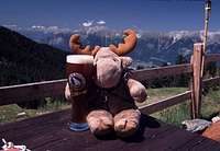 7/2002 - Urs the Elk enjoys...