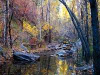 Autumn Serenity on Little Elk Creek
