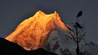 Shine, Manaslu!