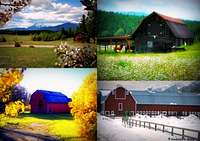 Kootenay Barns, Four Seasons