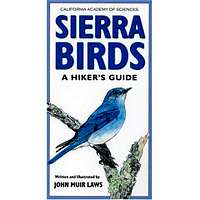 Sierra Birds - A Hiker's Guide