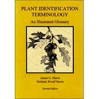 Plant Identification Terminology.  An Illustrated Glossary.