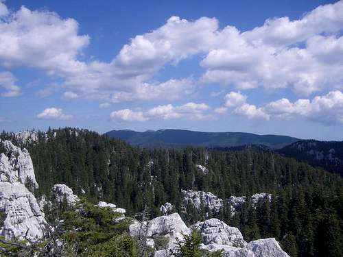 Bjelolasica mountain...