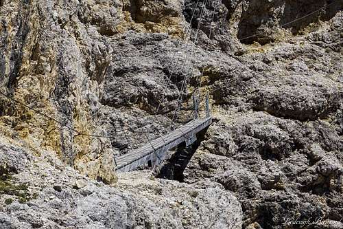 The hanging bridge