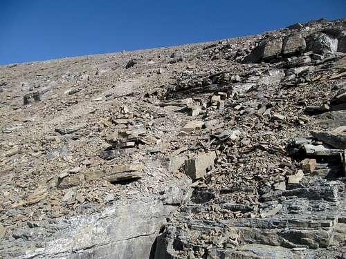 the lower upper scree section