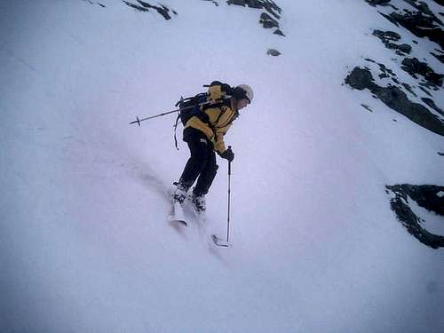 The Slovak female skier -...