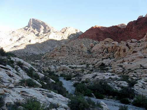 The Upper Canyon & Turtlehead Peak
