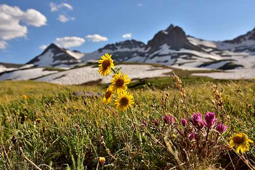 Summer in Ice Lakes Basin