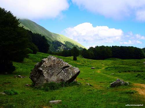 Erratic boulder on the broad meadows of  