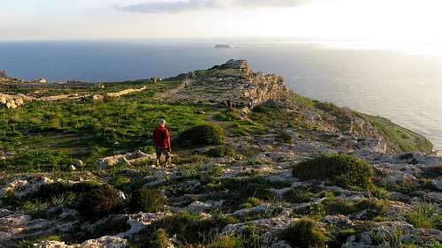 On top of Dingli Cliffs