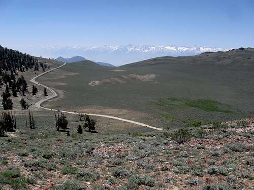 White Mountain Road & the High Sierra