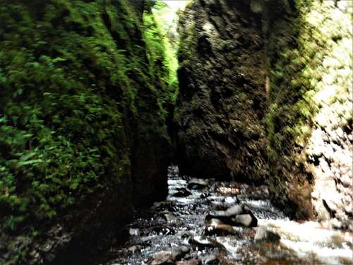 Narrow Passage - Kadunce Canyon