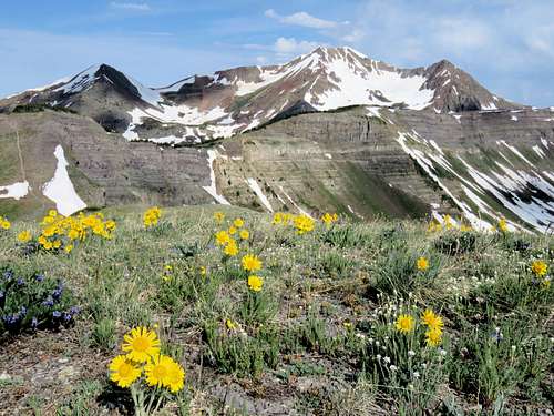 Purple, Owen and Ruby Peaks from Scarp Ridge