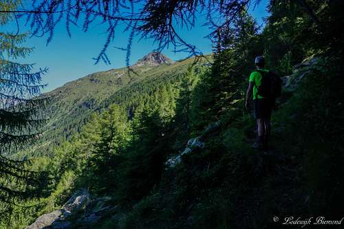 On trail: Alpe Motto - Alpe Gagern