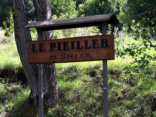 Nearby the Pieiller Alp <i>(1234m)</i> in Pieiller Vallon 2017