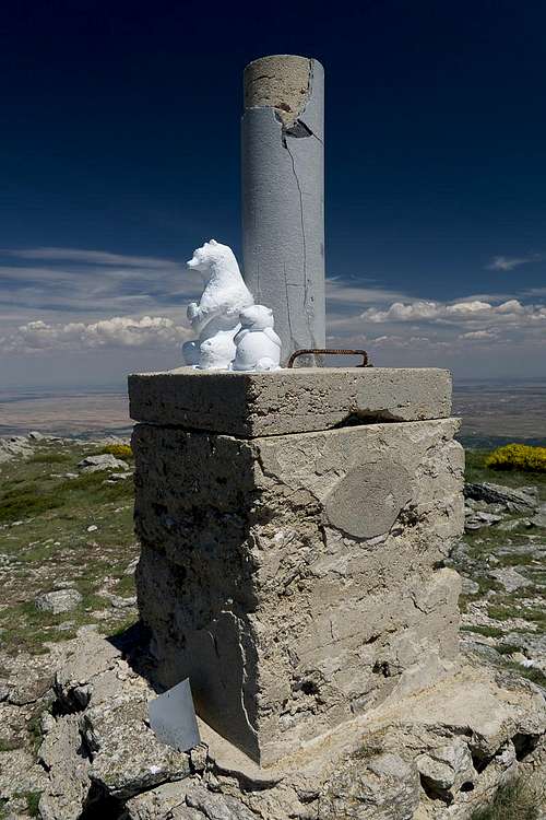 Bears on the summit column