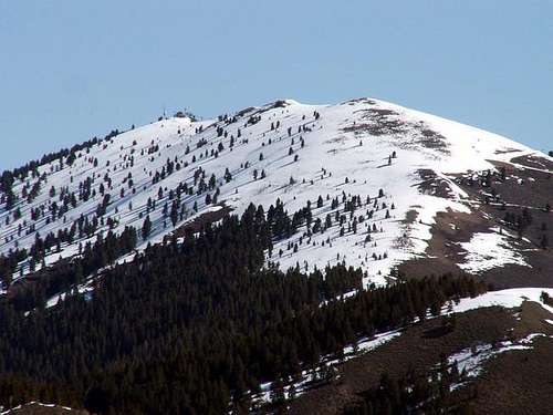 Bald Mountain as seen from...