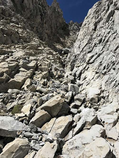 Mid section of gully